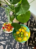 Round Tablecloth, 100% Cotton, Printed | Seeds Carbon - Image 5