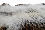 Gray Rare Breed Sheepskin Rug. | HUGE 140cm - Image 4